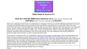 Bear Tracker - Canine vs. Feline Track Guide