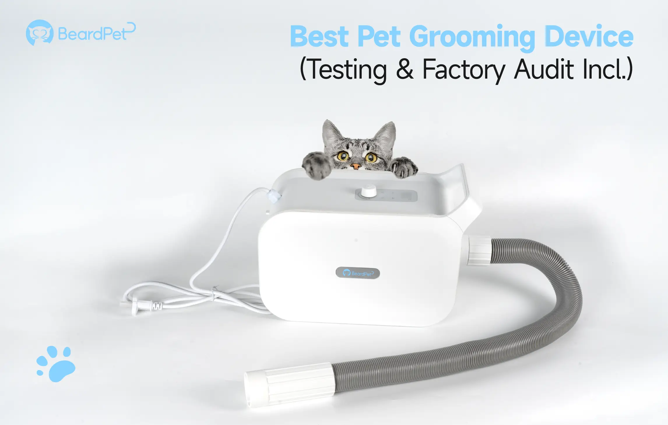 An application scenario or product detail of beard cat - Image 3