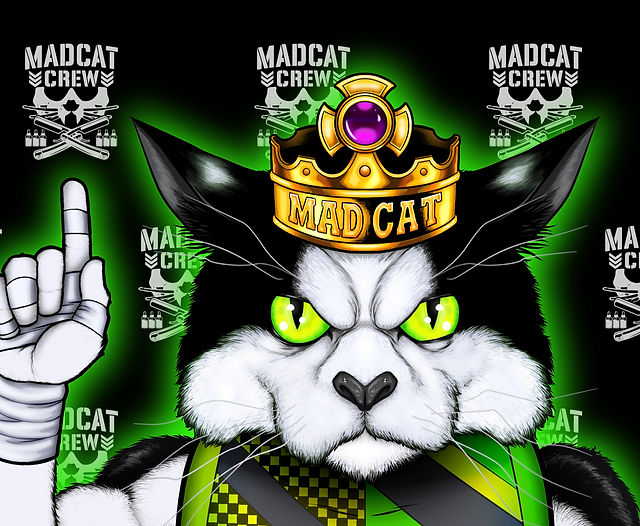 An application scenario or product detail of beard cat - Image 17