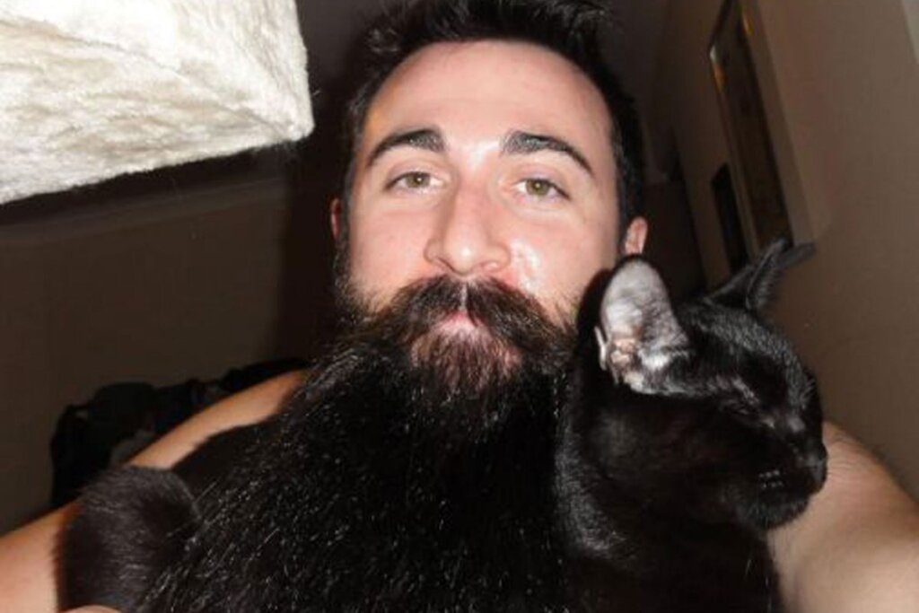 Featured image for the beard cat guide