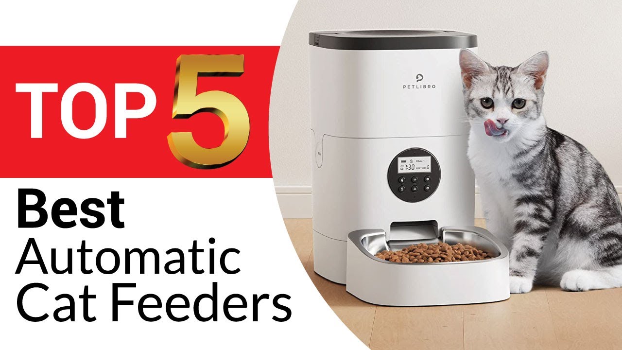 An application scenario or product detail of best automatic cat feeder 2025 - Image 7