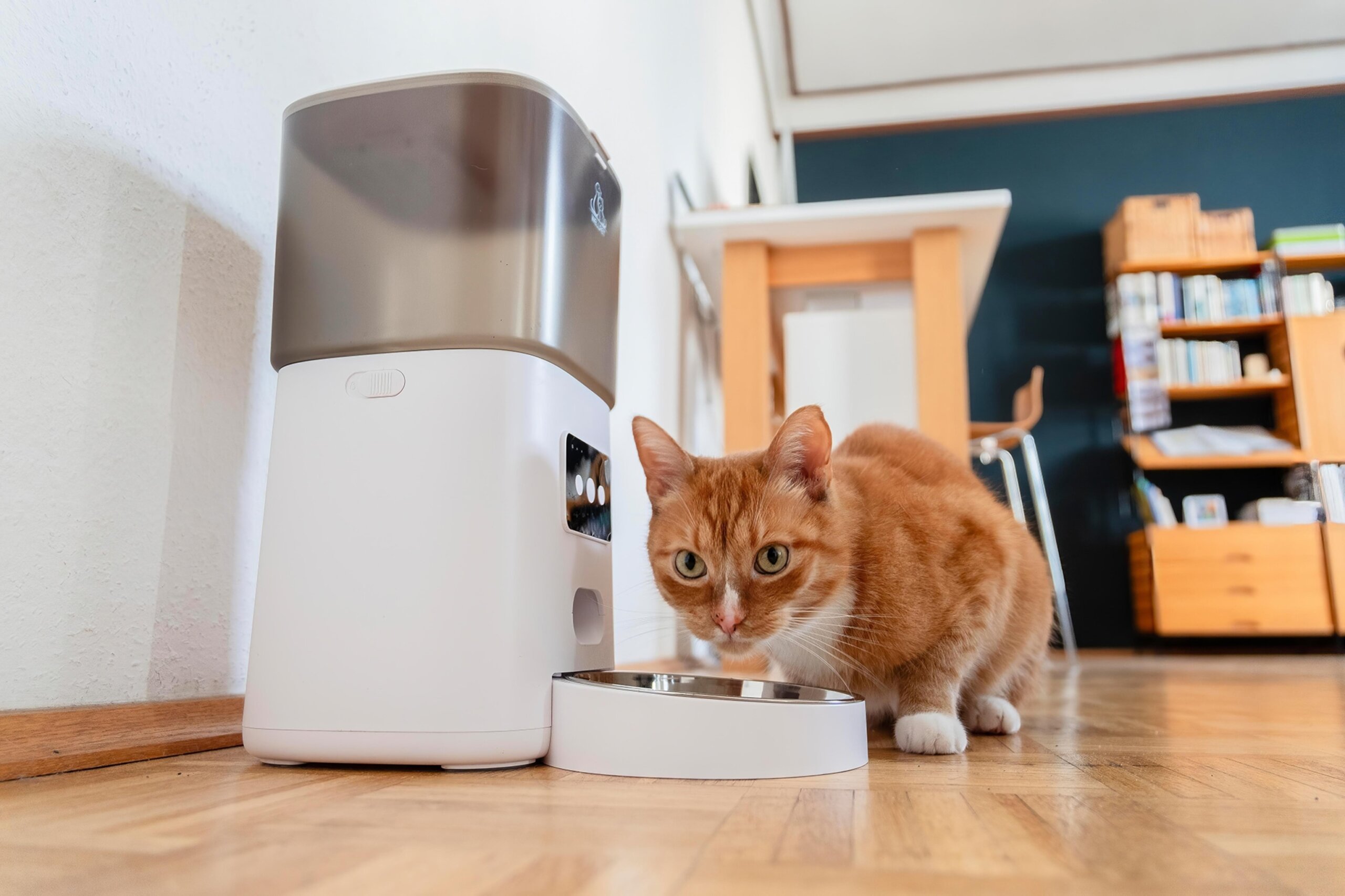 An application scenario or product detail of best automatic cat feeder 2025 - Image 8
