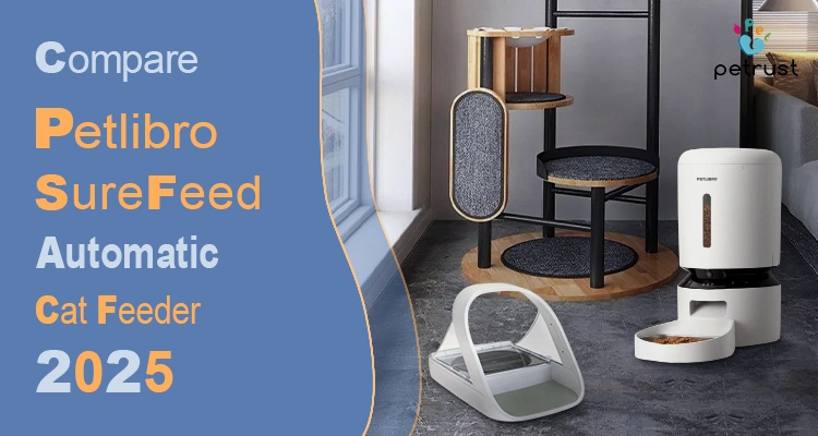 An application scenario or product detail of best automatic cat feeder 2025 - Image 10