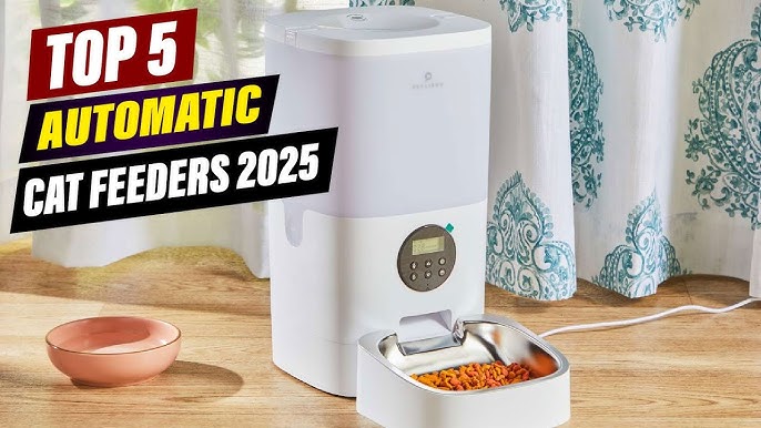 An application scenario or product detail of best automatic cat feeder 2025 - Image 13