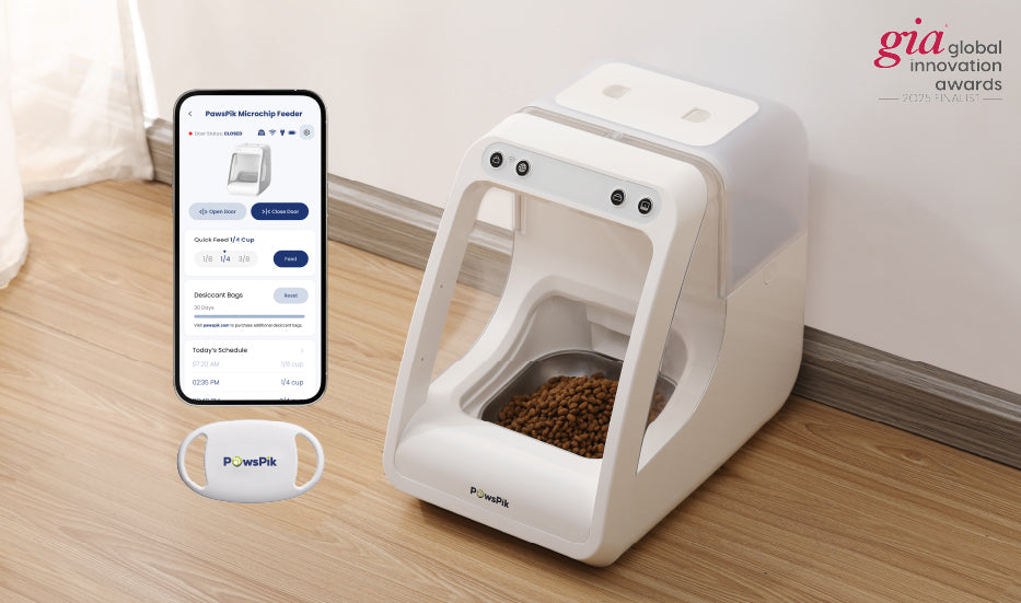 An application scenario or product detail of best automatic cat feeder 2025 - Image 20