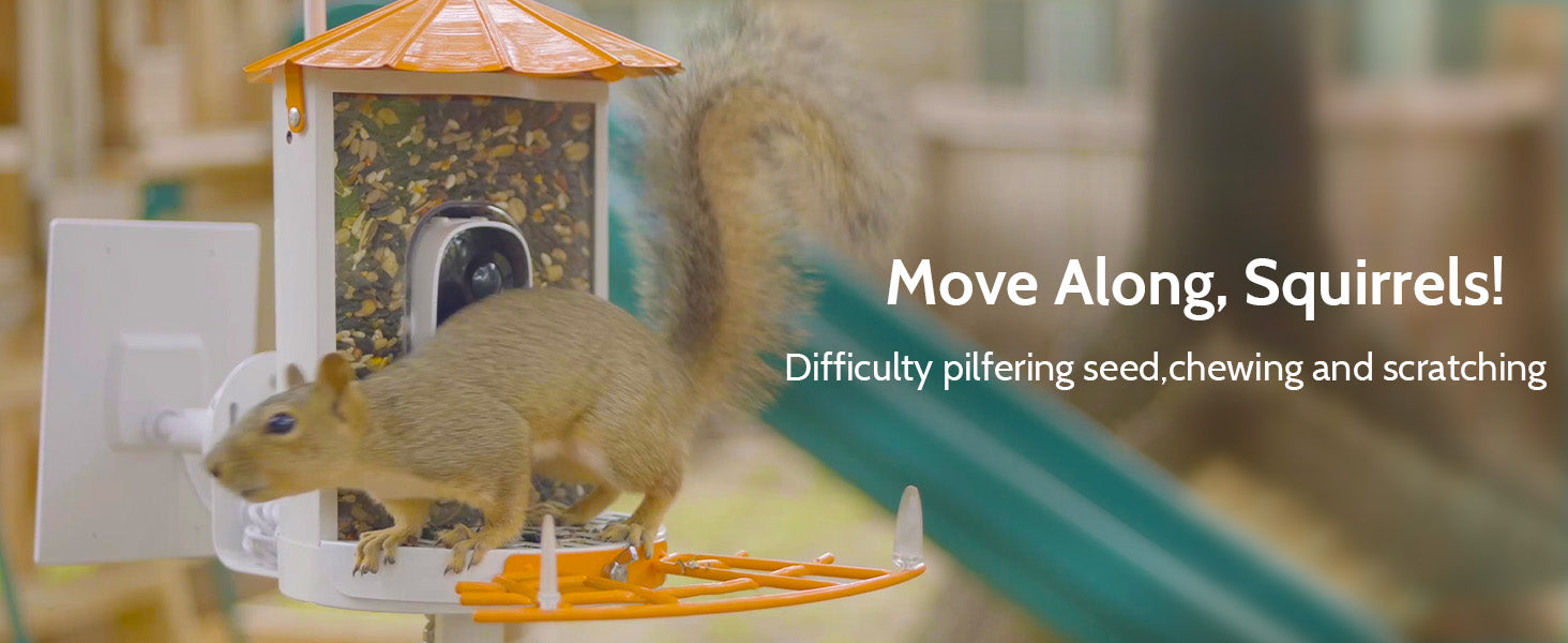 An application scenario or product detail of best bird feeder camera squirrel proof - Image 12