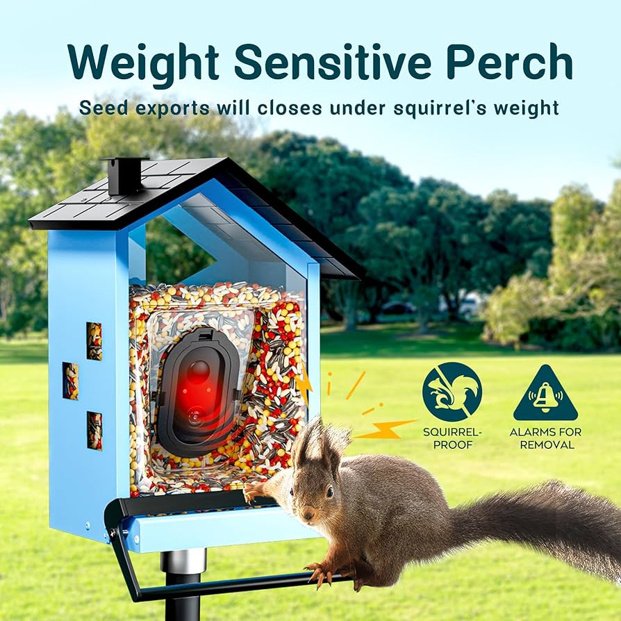Featured image for the best bird feeder camera squirrel proof guide