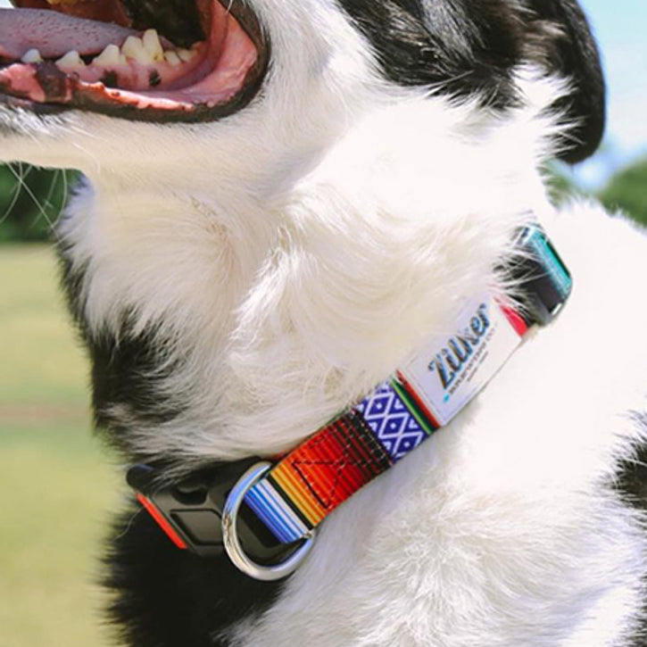 An application scenario or product detail of best brand of dog collars - Image 3