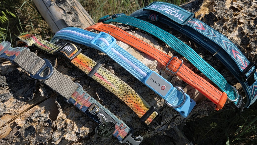 An application scenario or product detail of best brand of dog collars - Image 11