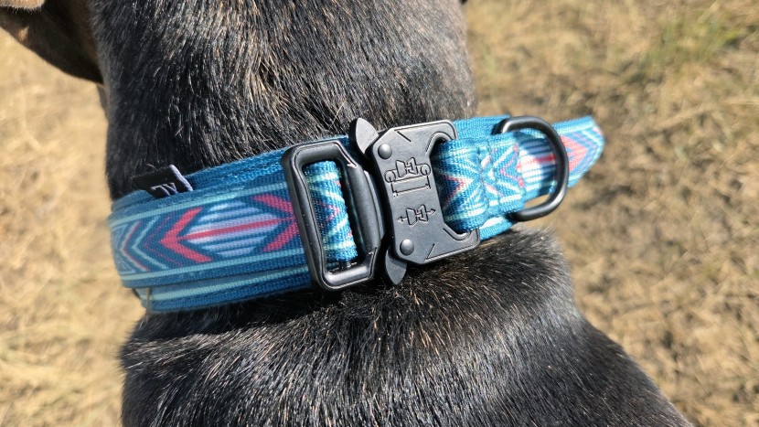 An application scenario or product detail of best brand of dog collars - Image 14