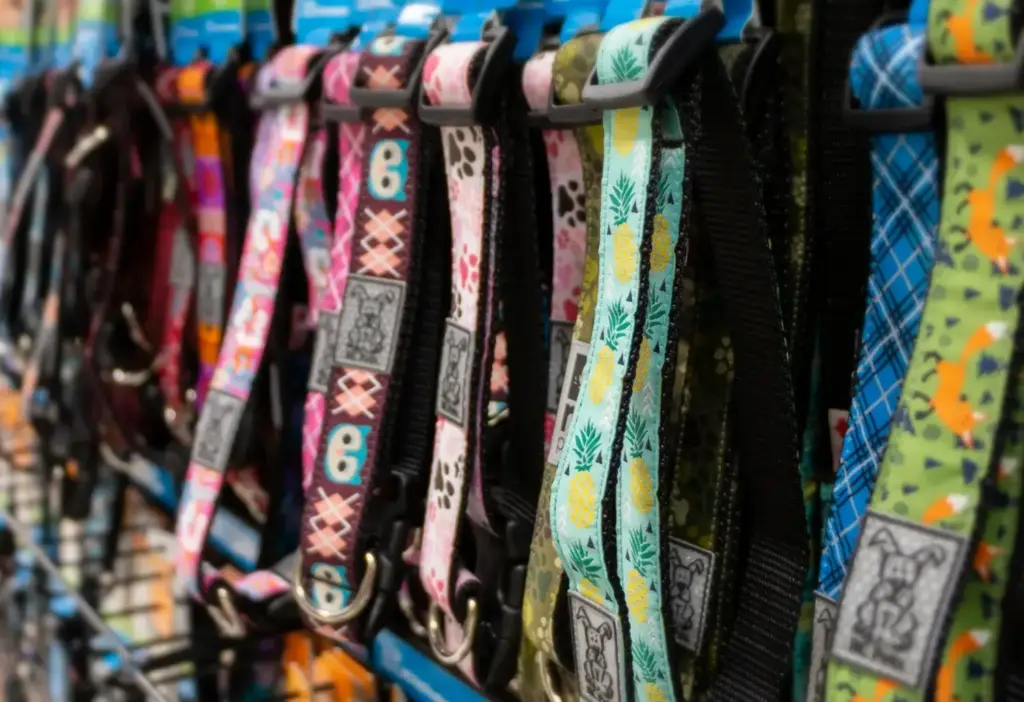 Featured image for the best brand of dog collars guide