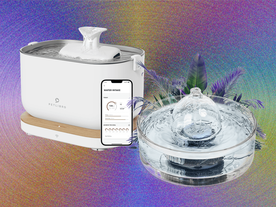 An application scenario or product detail of best cat fountain - Image 14