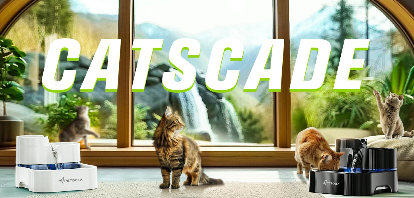 An application scenario or product detail of best cat fountain for multiple cats - Image 23