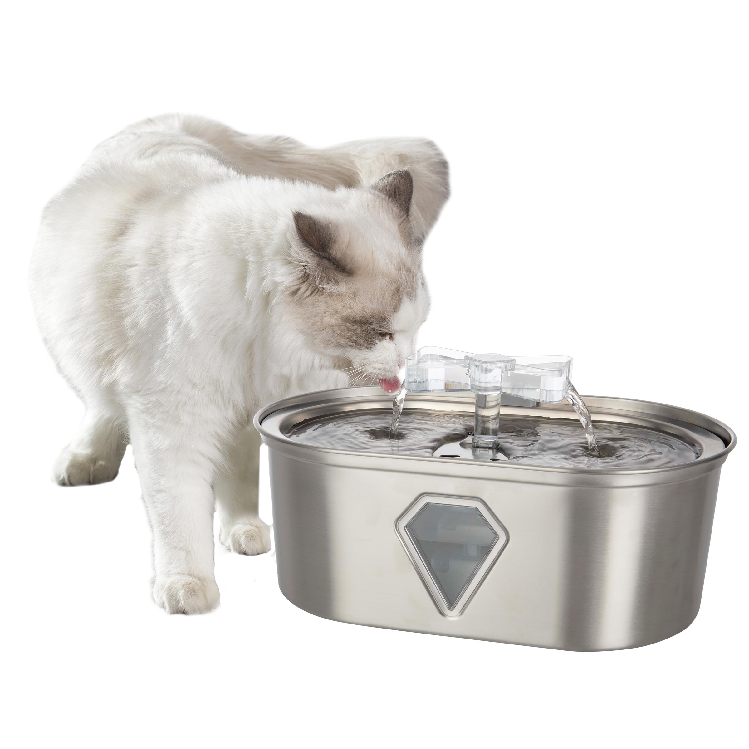 An application scenario or product detail of best cat fountain water - Image 23