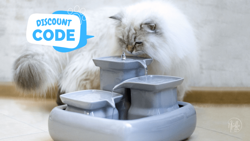 An application scenario or product detail of best cat water fountain ceramic - Image 5