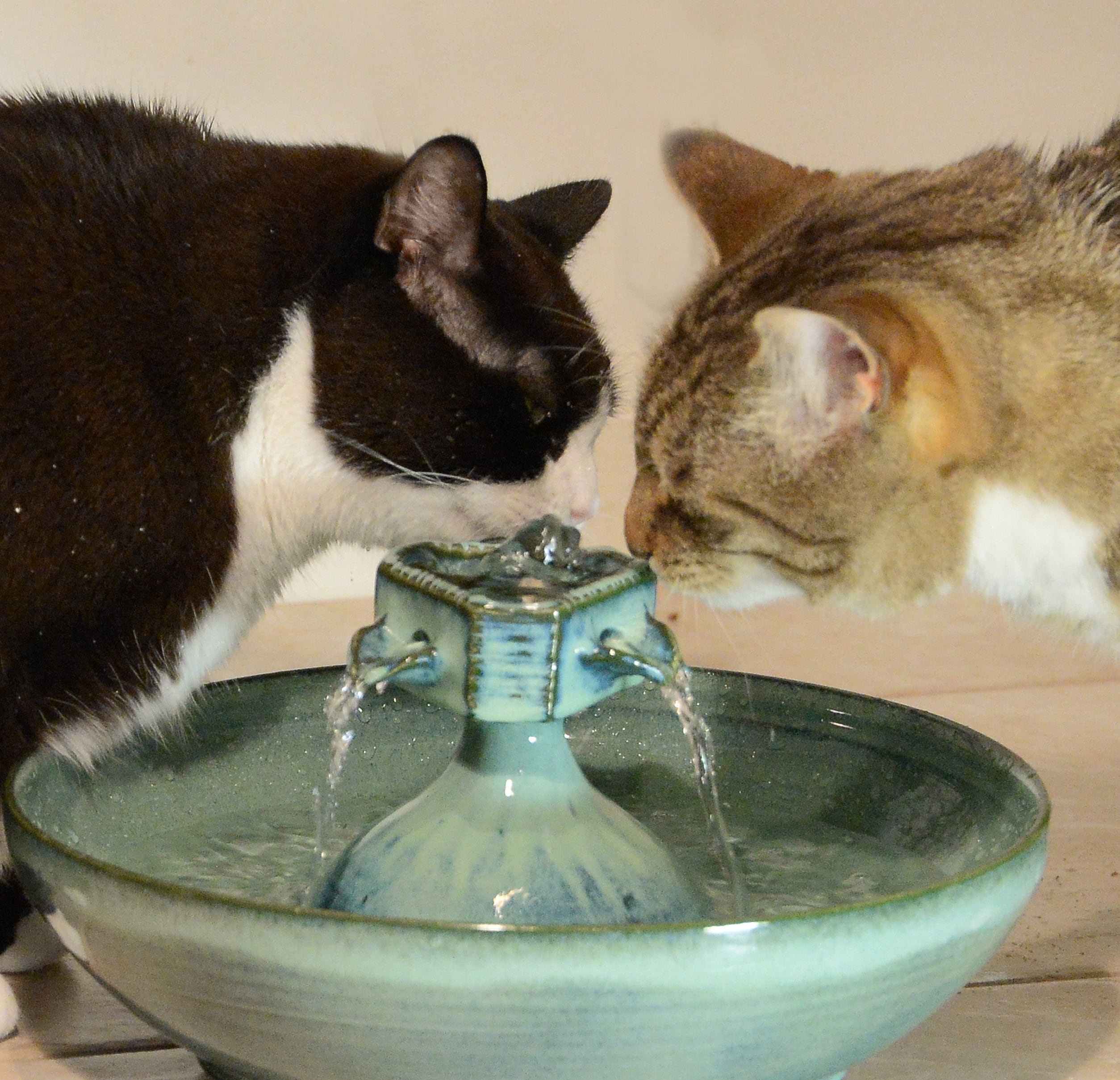 An application scenario or product detail of best cat water fountain ceramic - Image 12