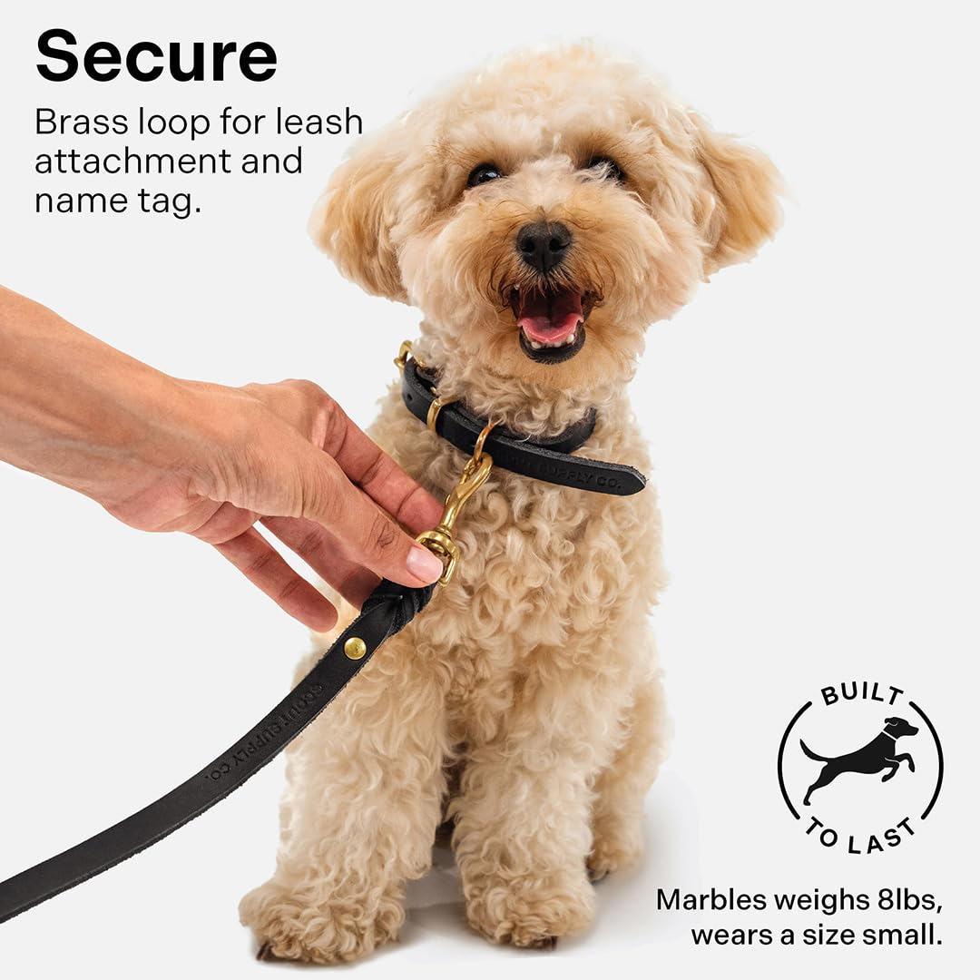 An application scenario or product detail of best dog collars - Image 8