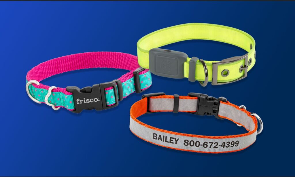 An application scenario or product detail of best dog collars - Image 10