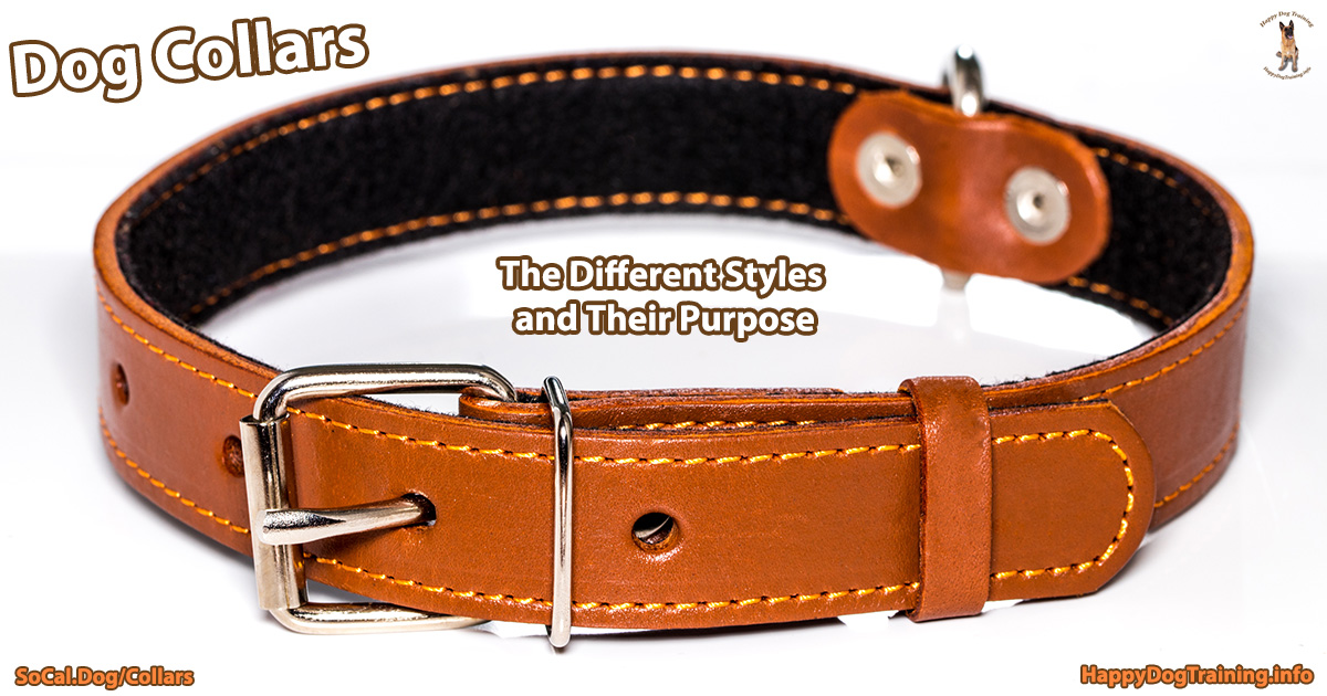 An application scenario or product detail of best dog collars - Image 17