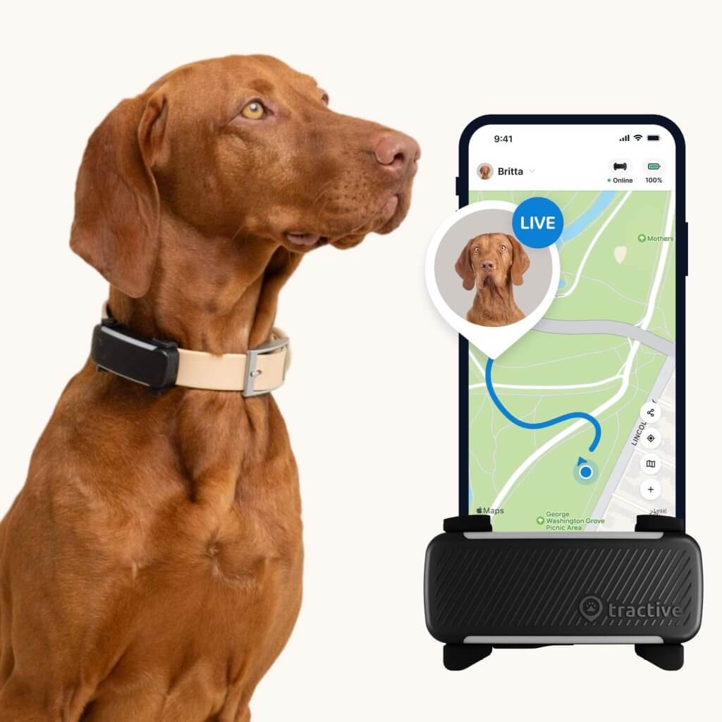 An application scenario or product detail of best dog gps tracker chip implant - Image 16