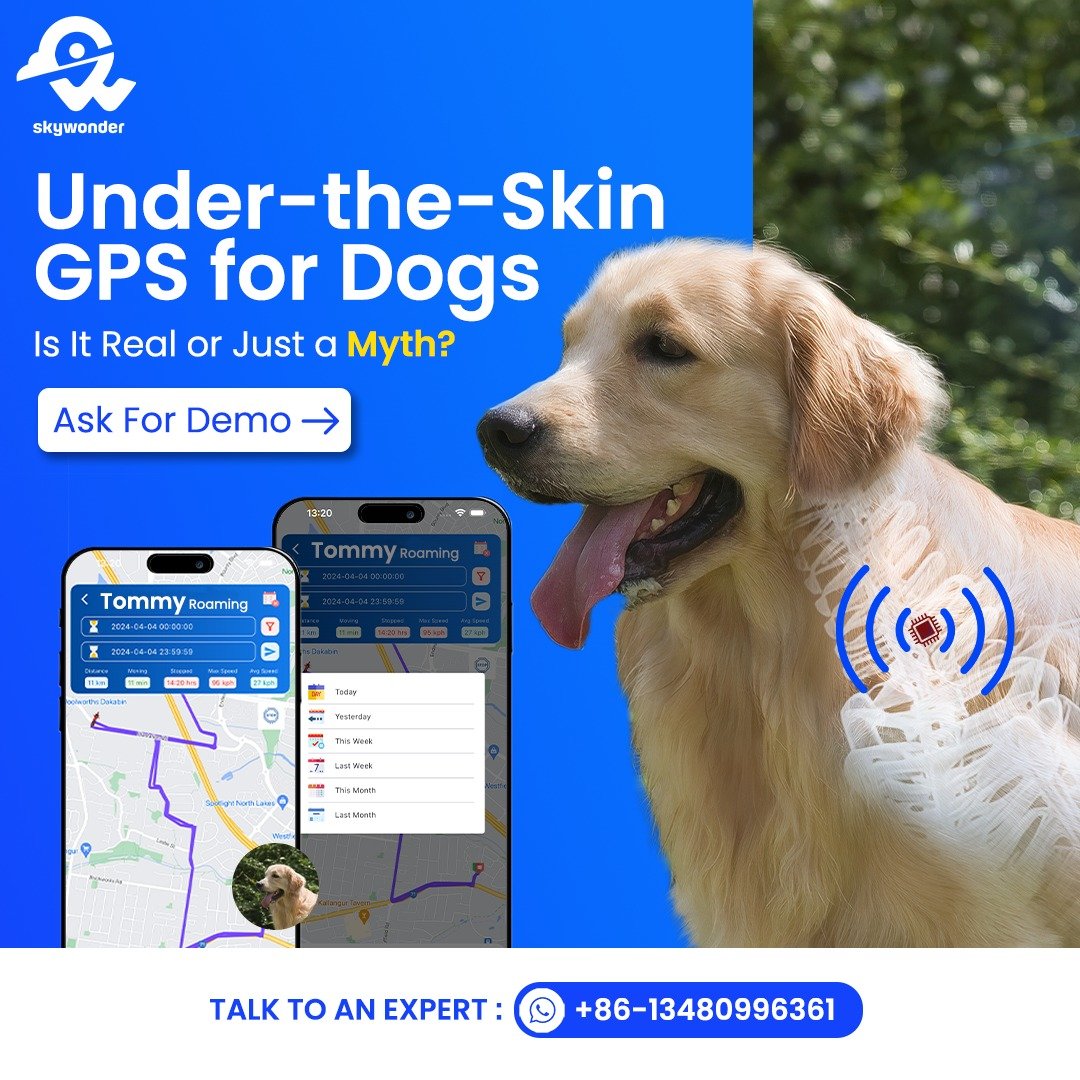 An application scenario or product detail of best dog gps tracker chip implant - Image 18