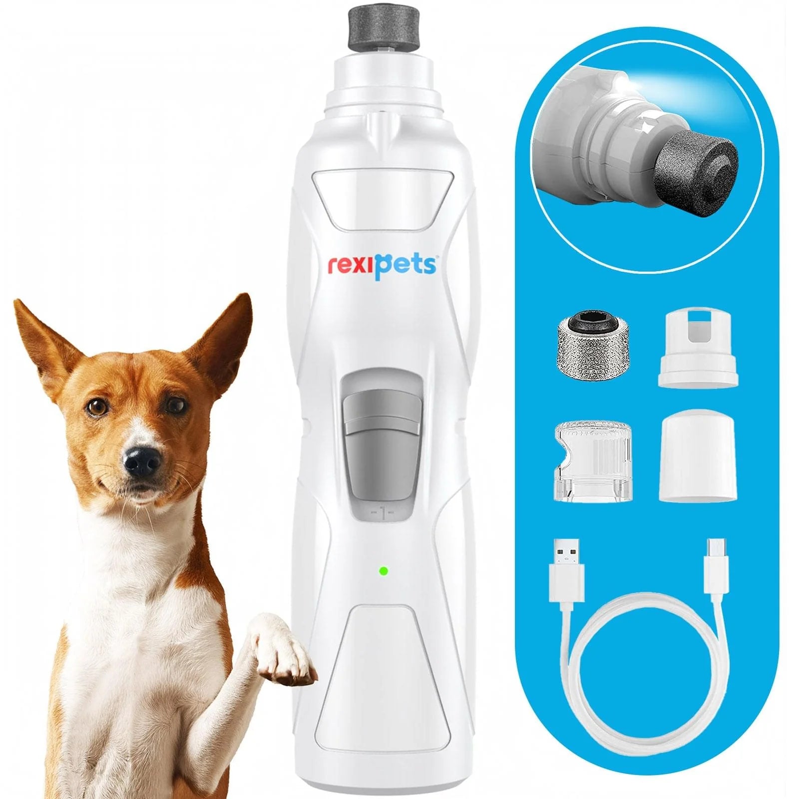 An application scenario or product detail of best dog nail grinders - Image 11