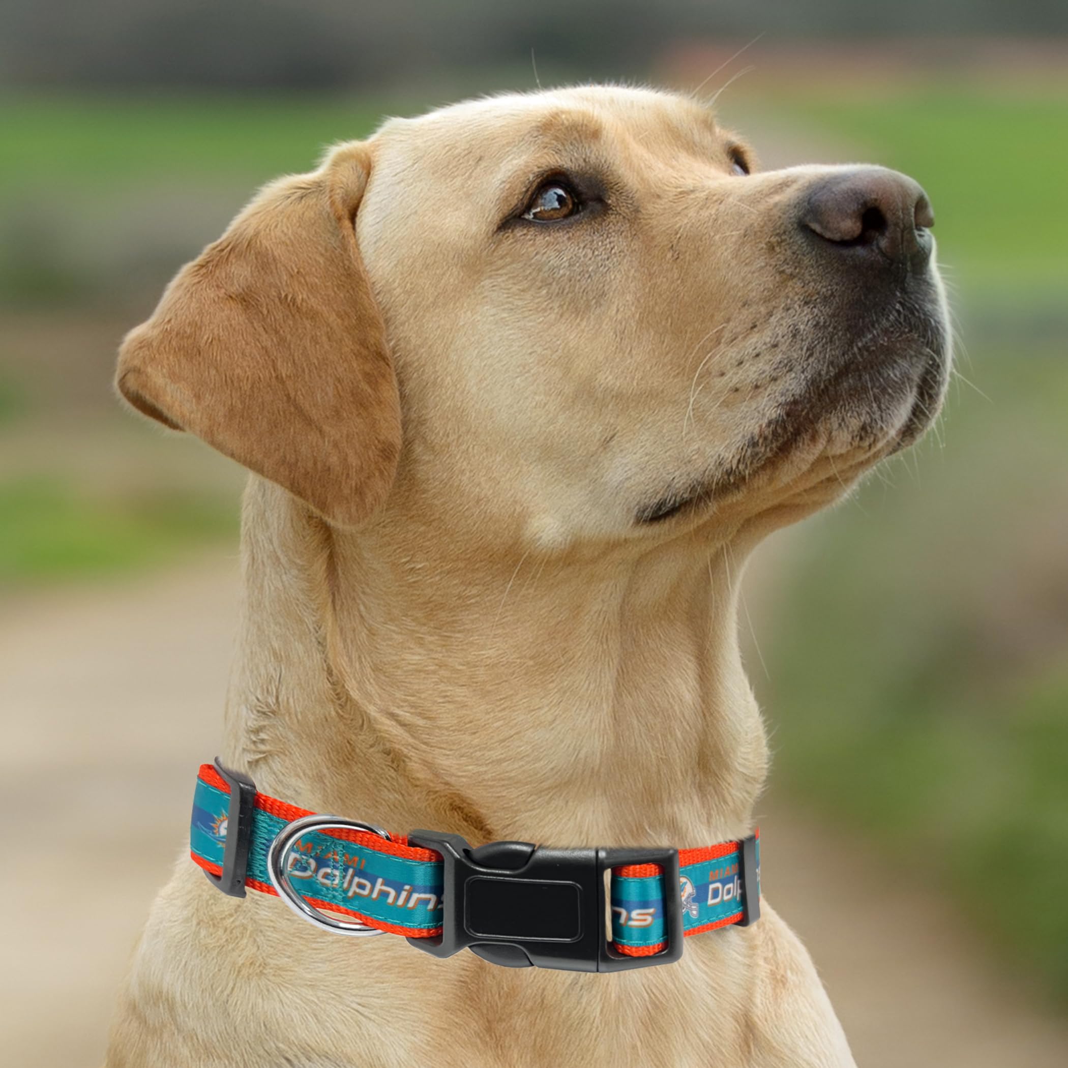 An application scenario or product detail of best dog.collars - Image 6