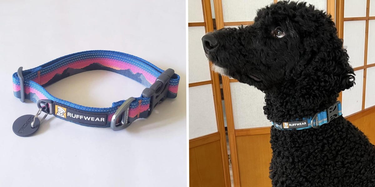 An application scenario or product detail of best dog.collars - Image 8