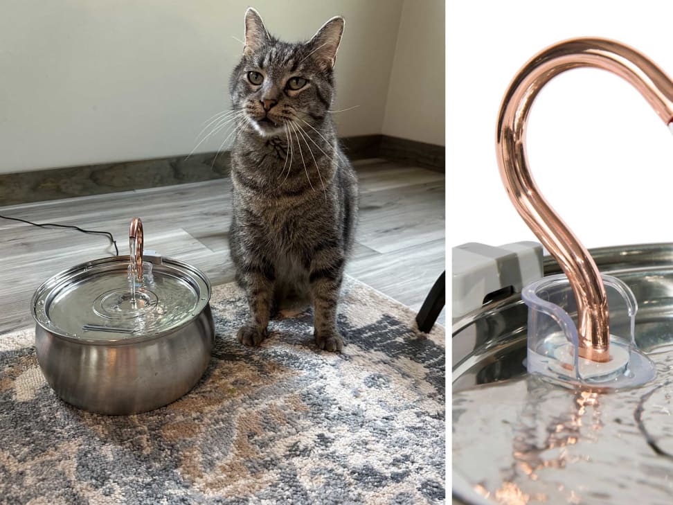 An application scenario or product detail of best kitty water fountains - Image 7