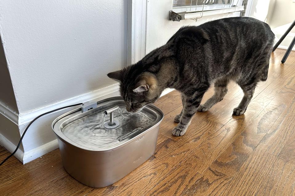 An application scenario or product detail of best kitty water fountains - Image 24