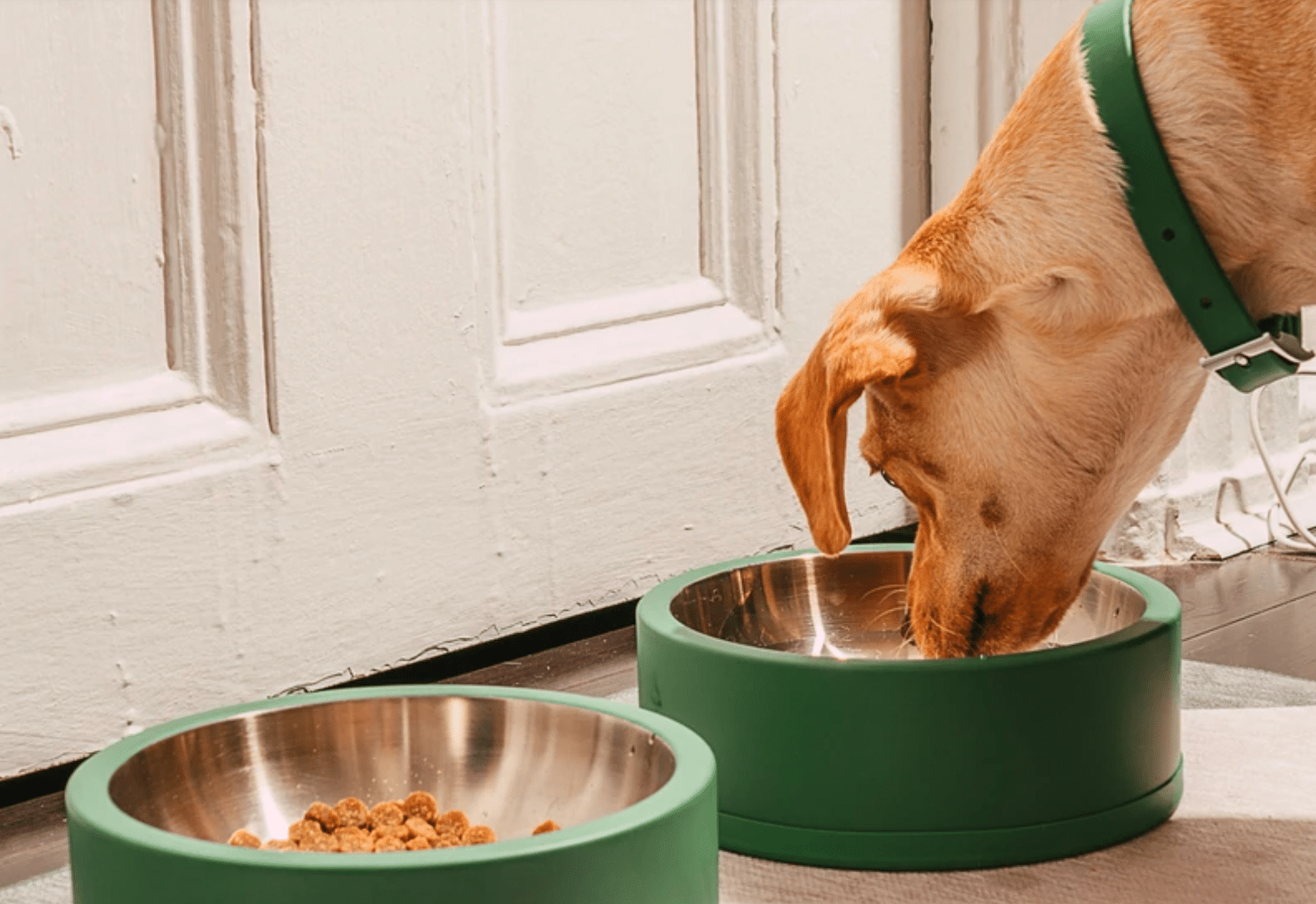 An application scenario or product detail of best material for dog water bowl - Image 1