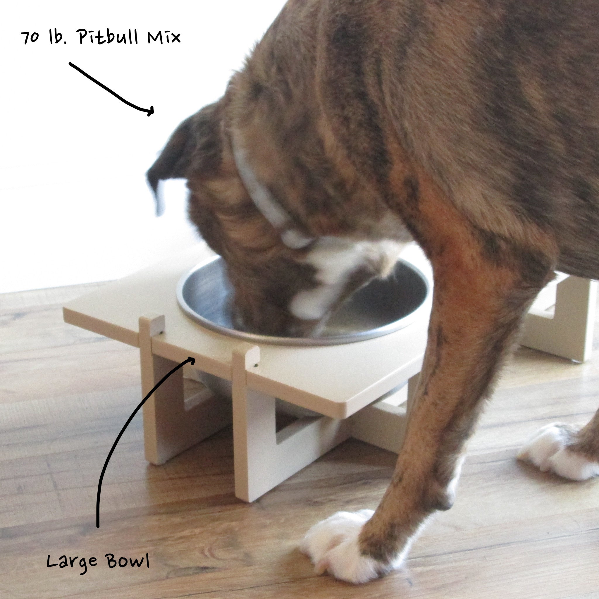 An application scenario or product detail of best material for dog water bowl - Image 5