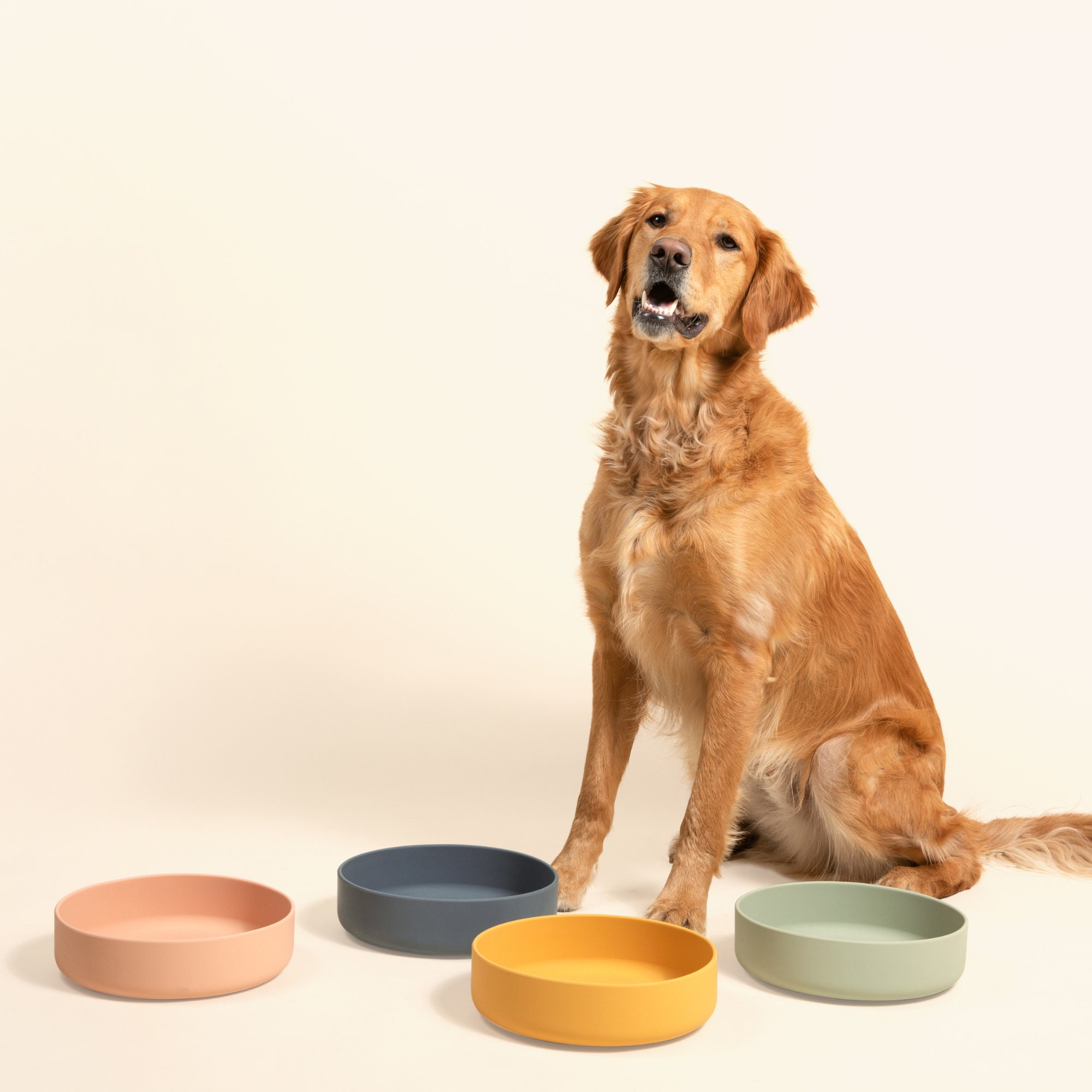 An application scenario or product detail of best material for dog water bowl - Image 8