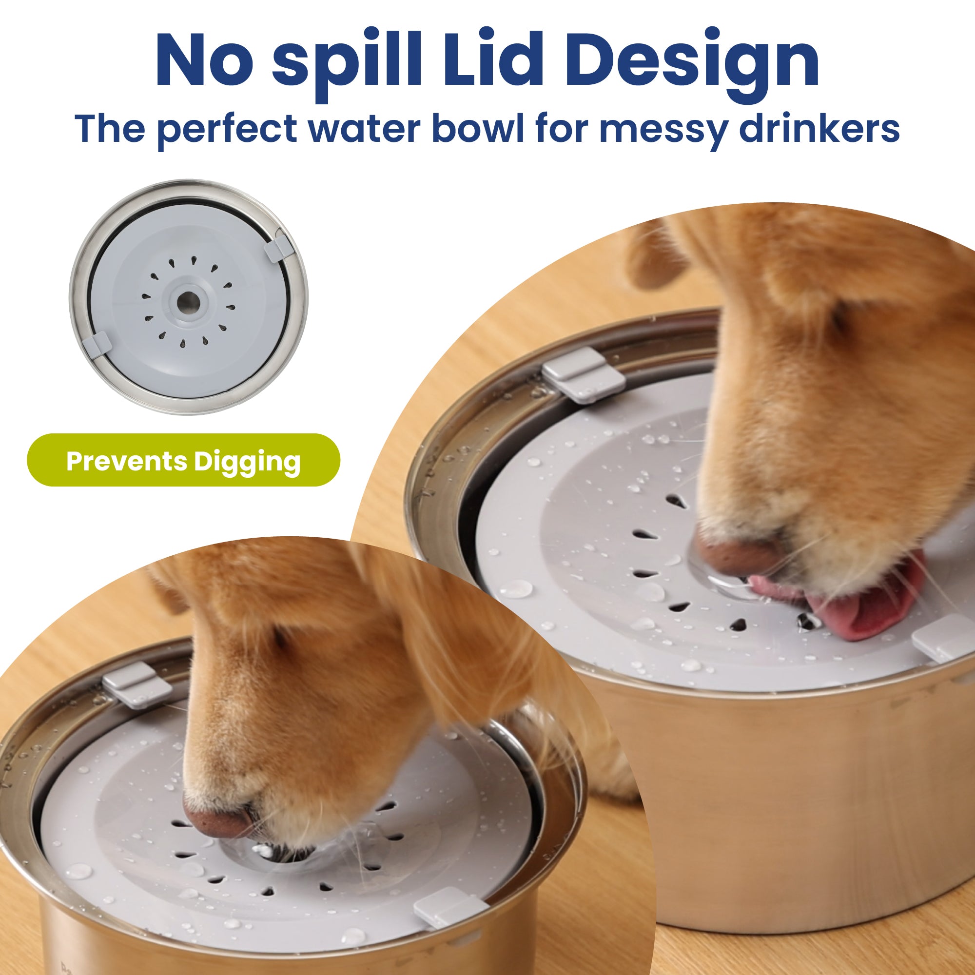 An application scenario or product detail of best material for dog water bowl - Image 16