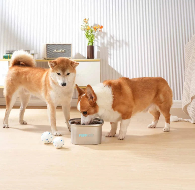 An application scenario or product detail of best material for dog water bowl - Image 21