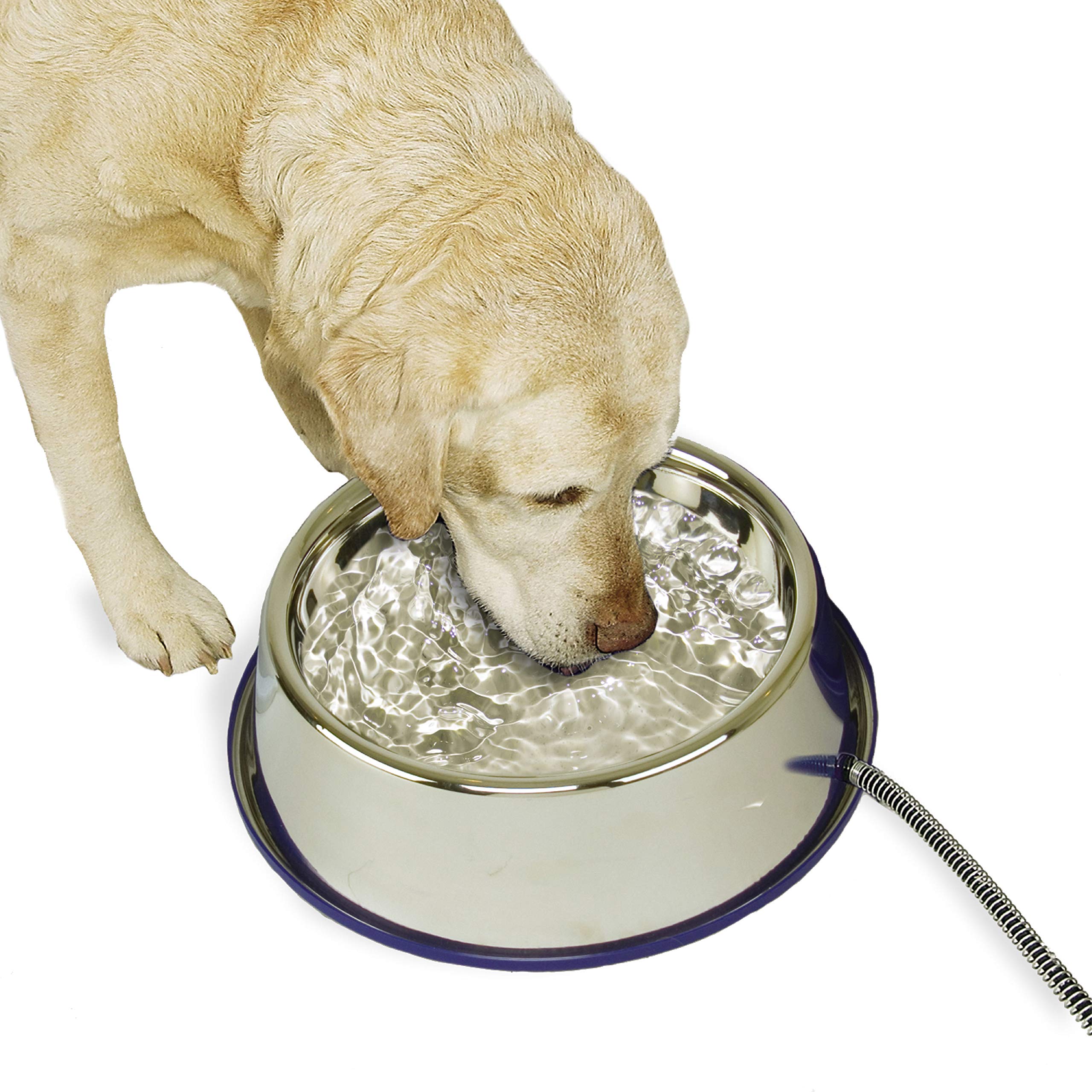 An application scenario or product detail of best material for dog water bowl - Image 22