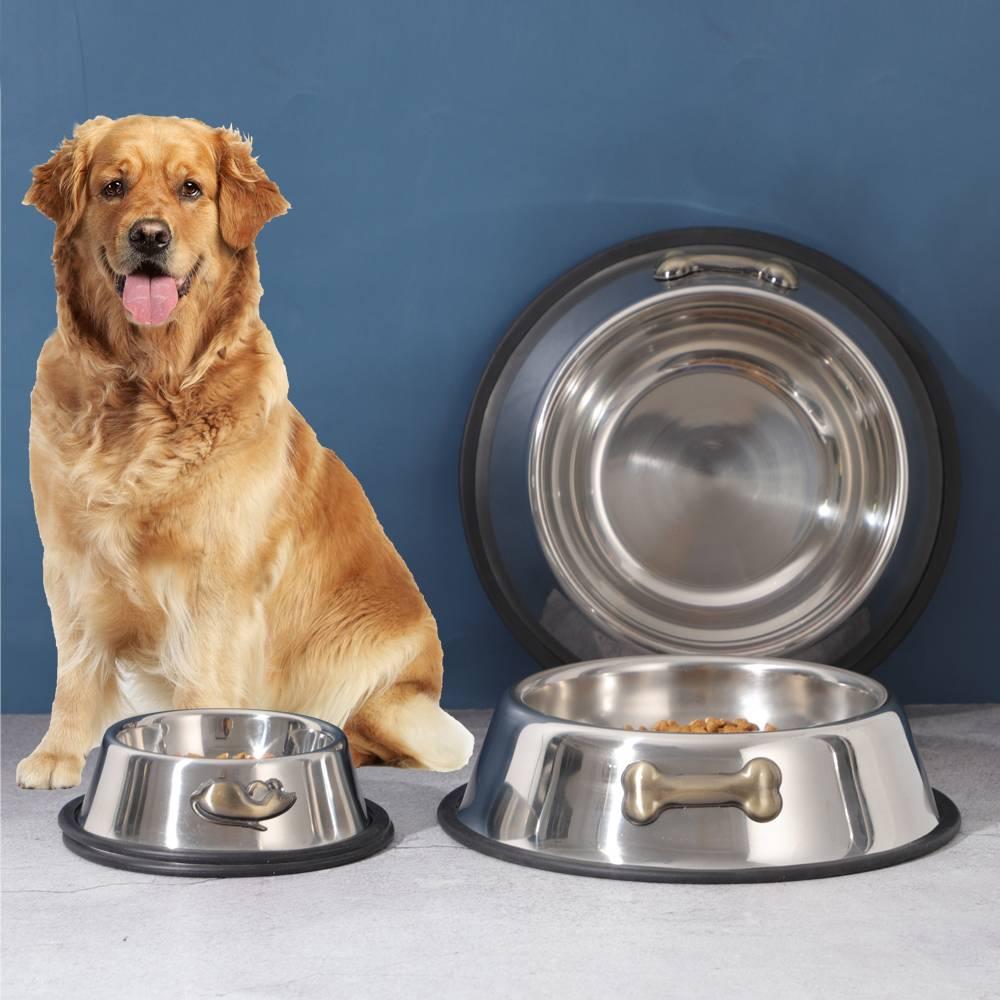 Featured image for the best material for dog water bowl guide