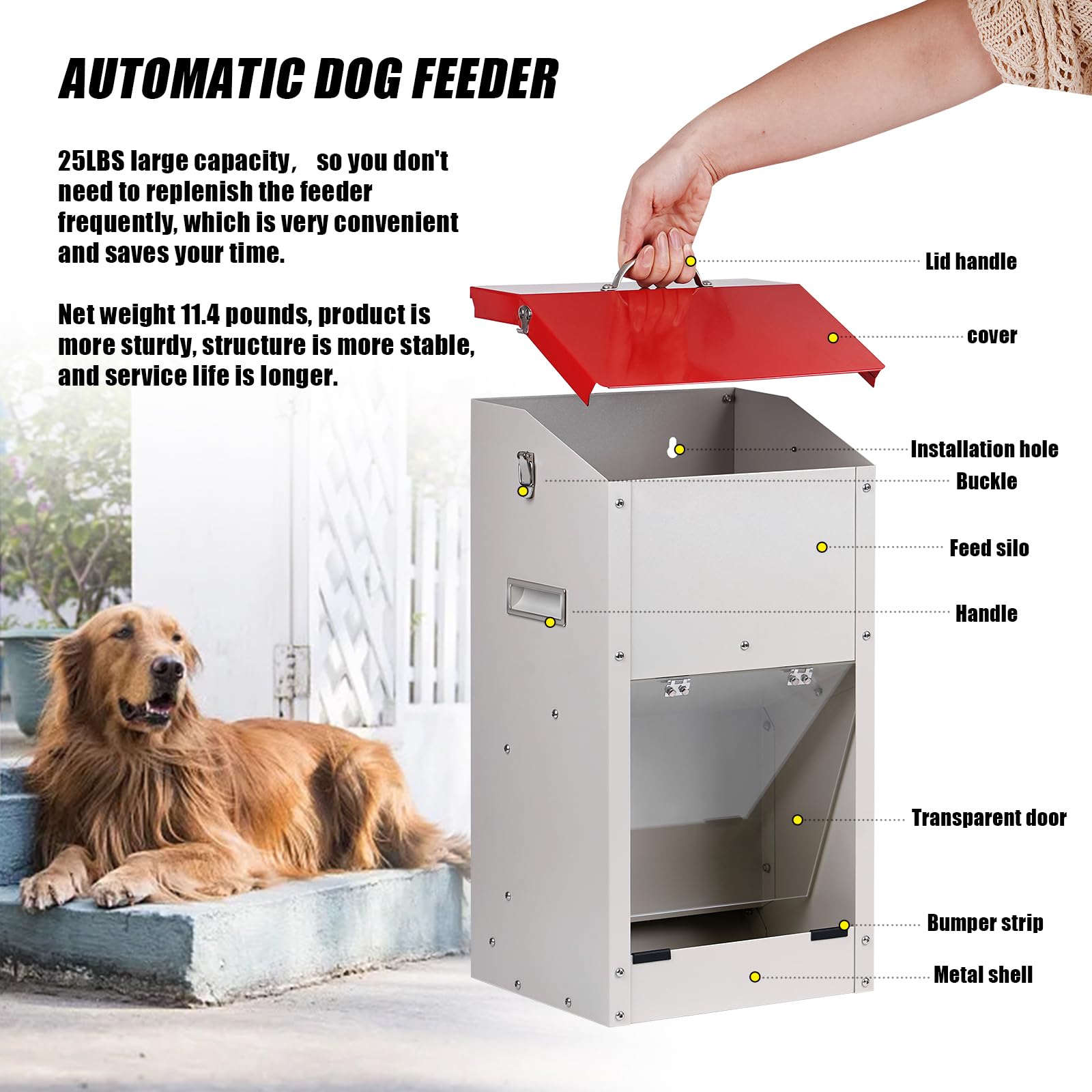 An application scenario or product detail of best outdoor automatic dog feeder - Image 2