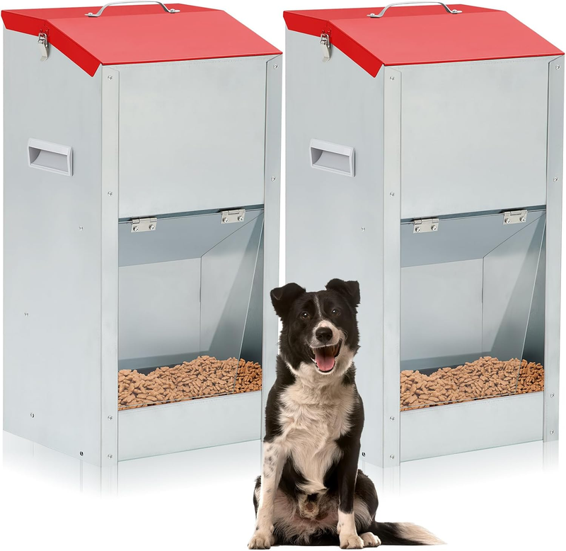 An application scenario or product detail of best outdoor automatic dog feeder - Image 9