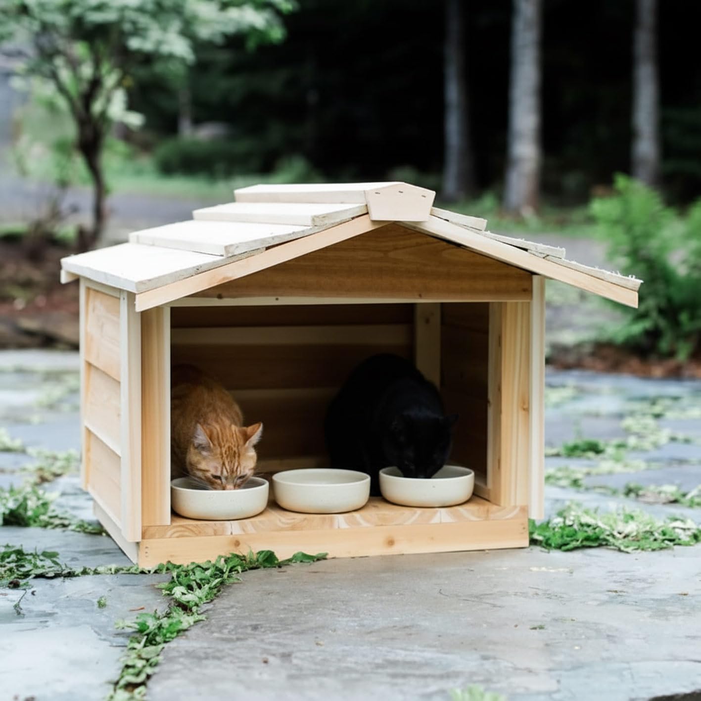 An application scenario or product detail of best outdoor cat feeder - Image 1