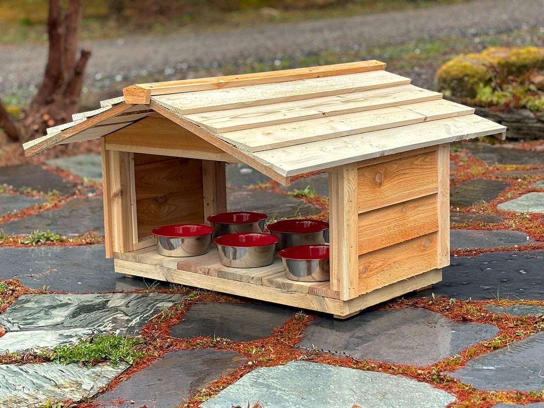 An application scenario or product detail of best outdoor cat feeder - Image 11