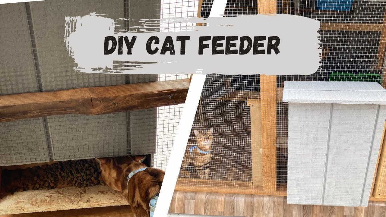An application scenario or product detail of best outdoor cat feeder - Image 18