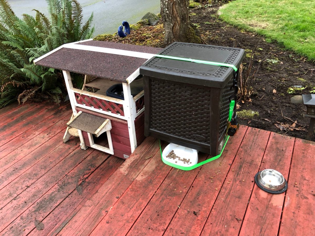 An application scenario or product detail of best outdoor cat feeder - Image 19