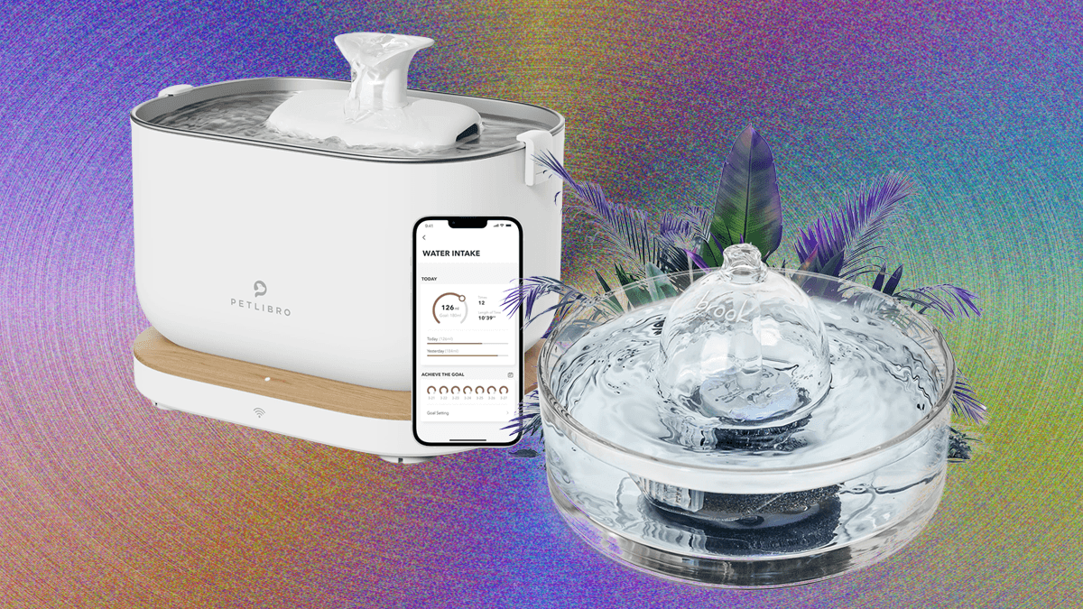 An application scenario or product detail of best pet water fountain - Image 21