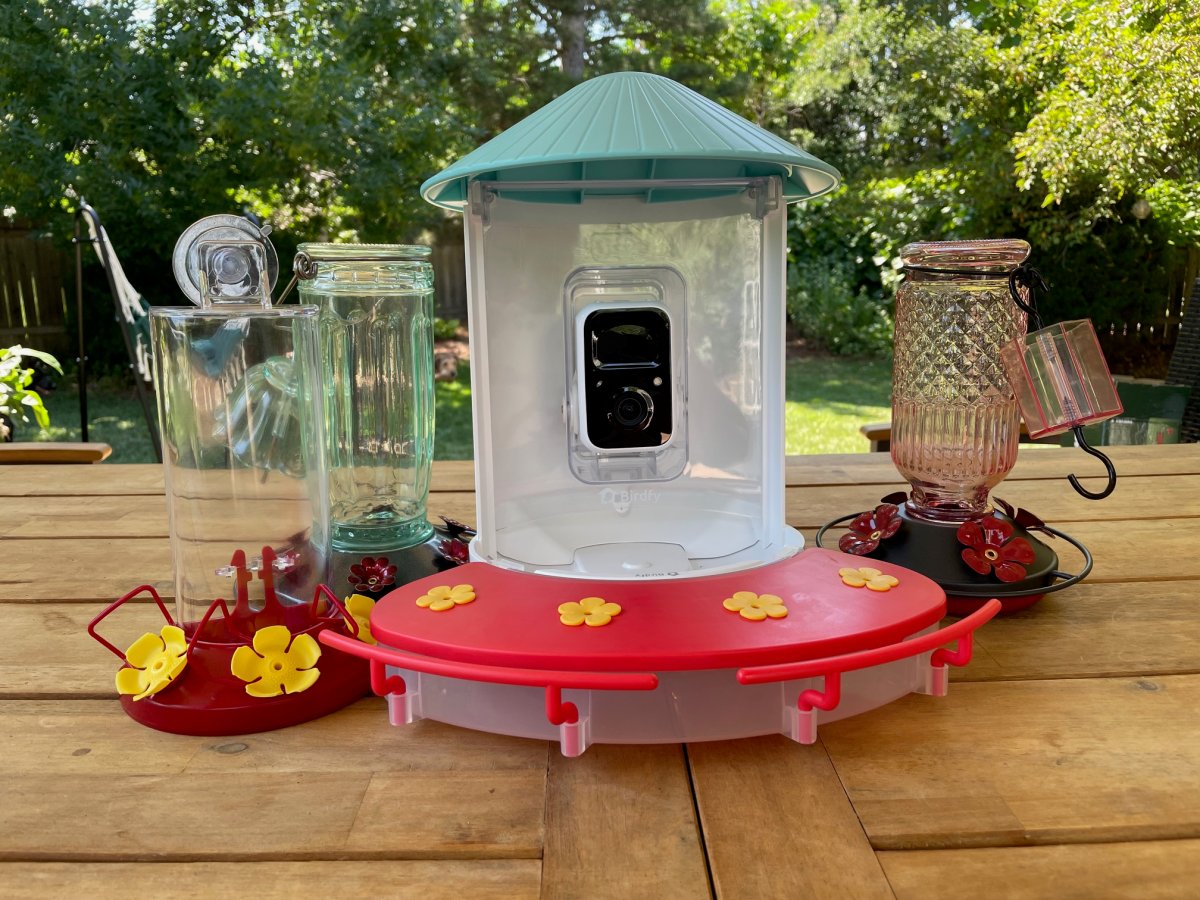 An application scenario or product detail of best place to put a hummingbird feeder - Image 18
