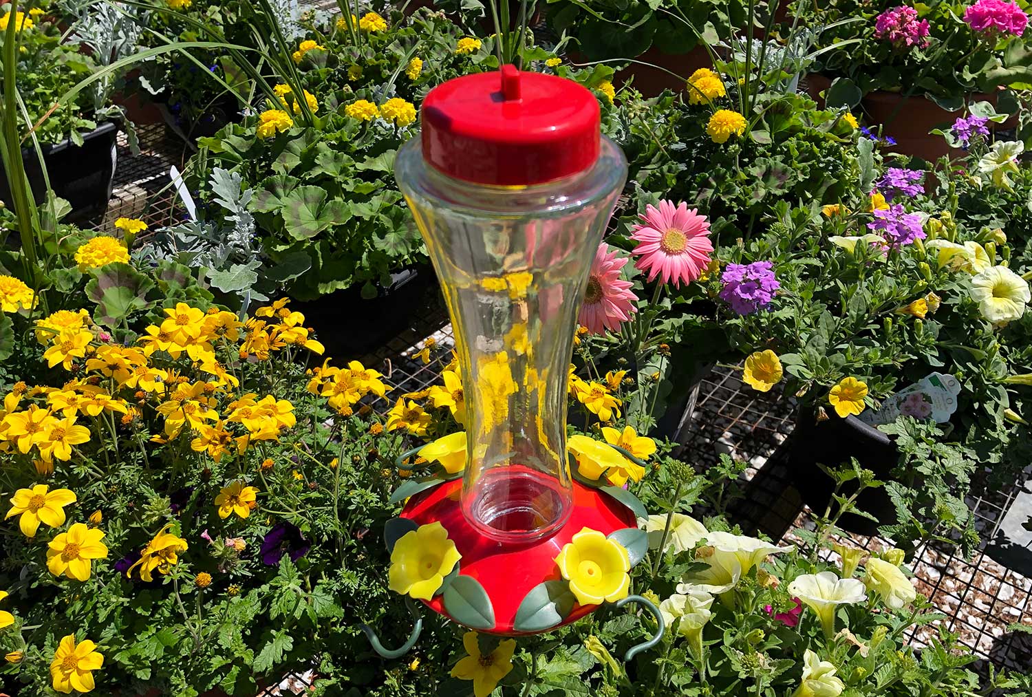 An application scenario or product detail of best place to put hummingbird feeder - Image 13