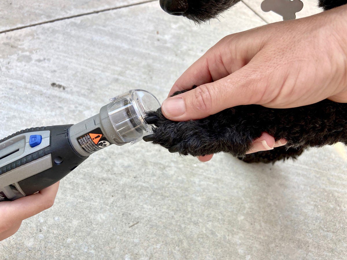 An application scenario or product detail of best rated dog nail grinder - Image 16