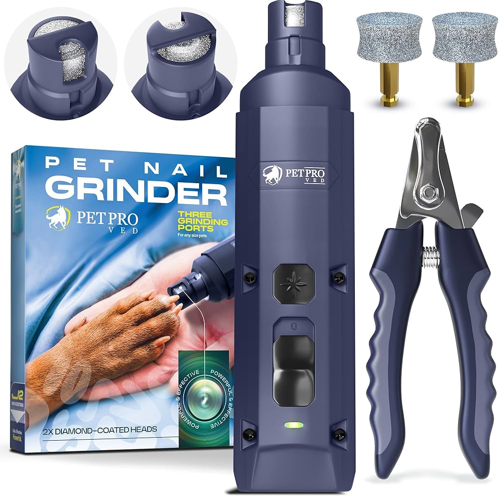 Featured image for the best rated dog nail grinder guide