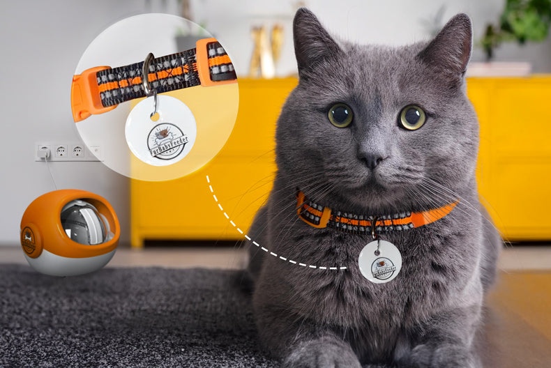 An application scenario or product detail of best rfid cat feeder - Image 12