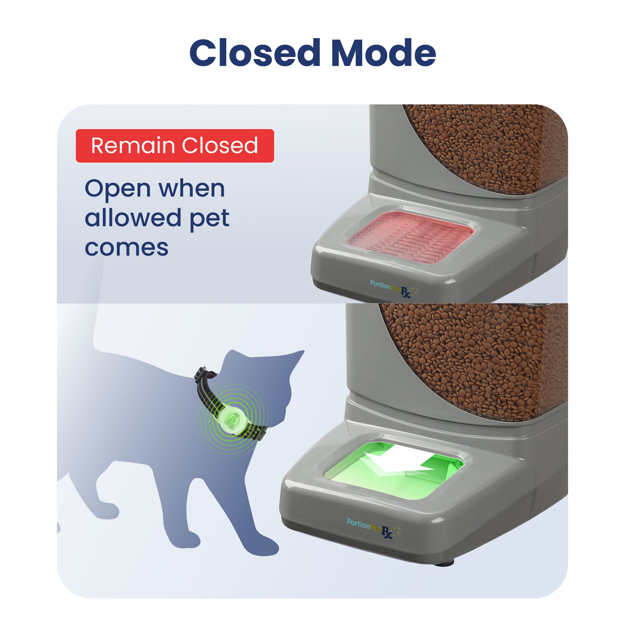 An application scenario or product detail of best rfid cat feeder - Image 15